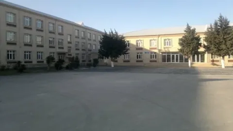 Bakıda məktəbdə 7 şagird qoğaldan zəhərləndi - FOTO