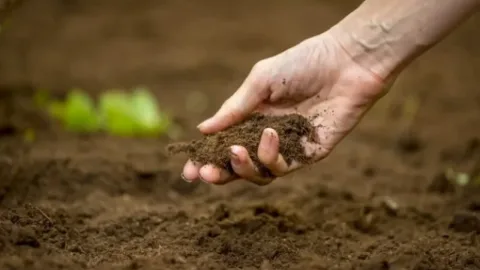 Növbəti torpaq hərracları keçiriləcək