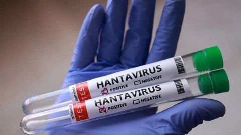 Yeni virus daha iki ölkədə yayıldı