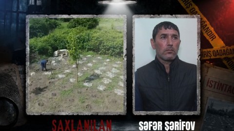 Balakəndə narkotik plantasiyası aşkarlandı&nbsp;- VİDEO