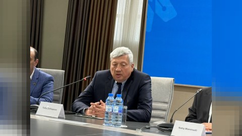 Minsk qrupu ilə bağlı müəyyən illüziyalar var idi - Sabiq nazir