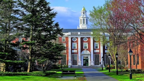 Məşhur universitetdən tələbləri qəzəbləndirəcək ADDIM