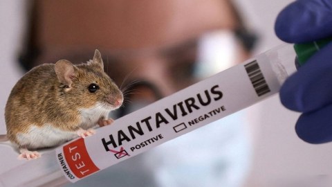 Hantavirusa görə&nbsp;41 nəfər müşahidə altındadır