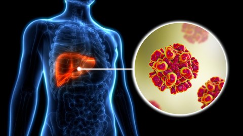 Bu ölkədə hepatit E virusuna yoluxma qeydə alındı