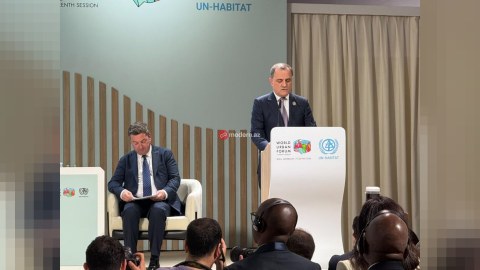 Azad edilmiş ərazilərdə 1,5 milyondan çox mina var - RƏSMİ
