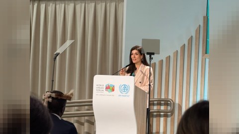 Azərbaycan COP29 və WUF13 missiyasını davam etdirir