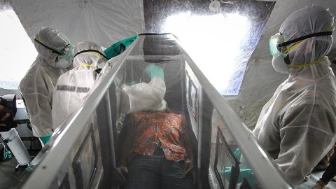 Eboladan ölənlərin sayı 130-u keçdi
