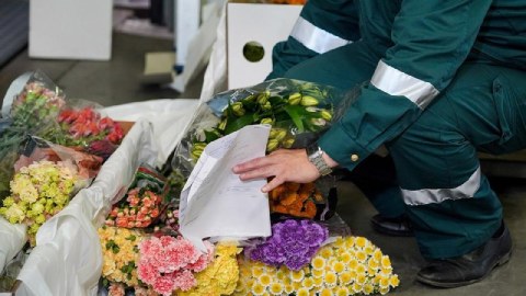 Ermənistana görə qərənfil və qızılgül bahalaşdı