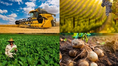 Aqrar sahədə özünütəminetmə səviyyəsi 100 faizə çatdırılacaq