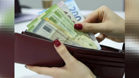 Manatın dövretmə sürəti azalıb