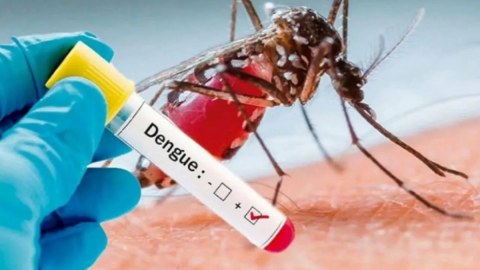 Denqe qızdırmasına yoluxanların sayı artır