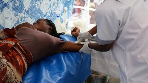 Nigeriyada vəba epidemiyası - 37 ölü