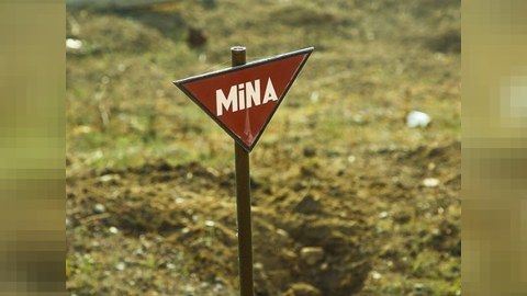 Azad olunmuş ərazilərdə nə qədər mina aşkarlanıb?&nbsp;