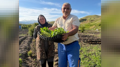 Zəngilan və Cəbrayılda sakinlərə bostan-tərəvəz şitili paylanılıb - FOTO