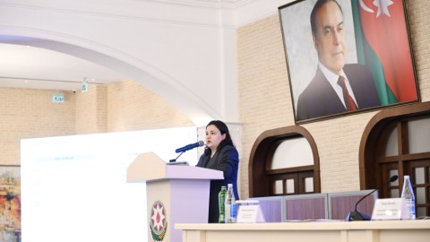 Qoyun əti istehsalının 21 faiz artırılması nəzərdə tutulur - Nazir müavini