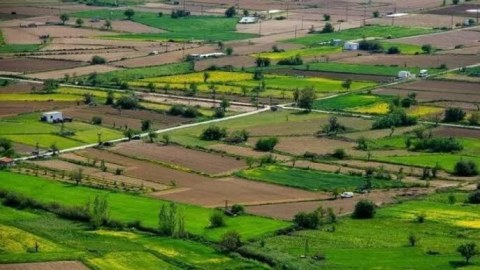 Bölünə bilməyən kənd təsərrüfatı torpaqları satılacaq