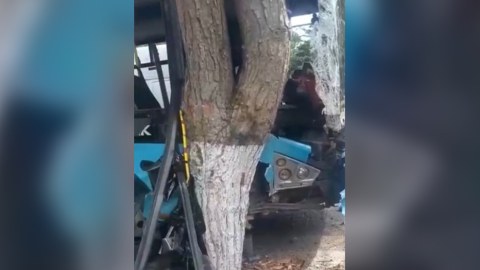 Bakıda avtobus&nbsp;ağaca çırpıldı, 11 nəfər yaralandı - VİDEO