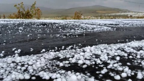 Laçına dolu düşüb