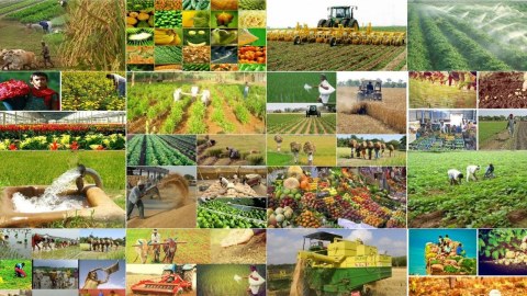 Ən çox məhsul istehsal edən rayonlarımız -&nbsp;TAM SİYAHI