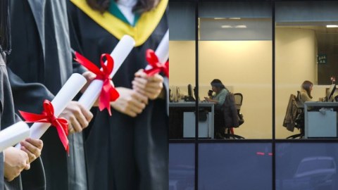 Gənclərin ilk iş yeri: hansı ixtisaslara iş tapılır, hansılara yox?