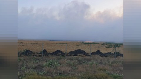 Fire at a landfill in Masalli spread to grain fields - PHOTO