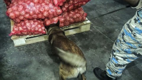 Soğan yükündən 25 kiloqram marixuana aşkarlandı - GÖRÜNTÜ