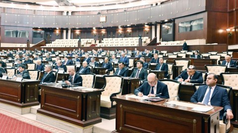 Rezidentura, sosial media və sahibkarlıq parlamentin gündəliyində 