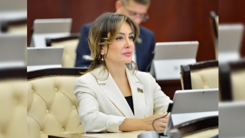 Bakı müzakirələri TDT-də təhlükəsizliyi gücləndirəcək