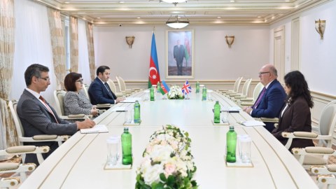 Sahibə Qafarova yeni səfirlə görüşdü