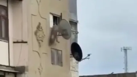 Bakıda iti binadan atan kişi həbs olundu