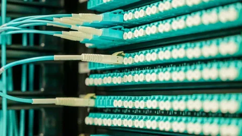 "Ölü internet" nəzəriyyəsi reallaşır: alimlər xəbərdarlıq edir