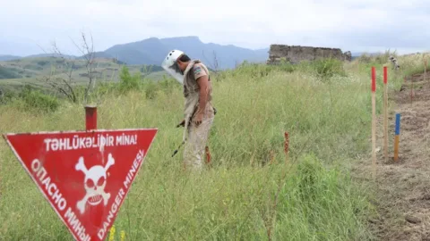 Minatəmizləyənlərin ailələrinə vergi güzəşti tətbiq olunacaq