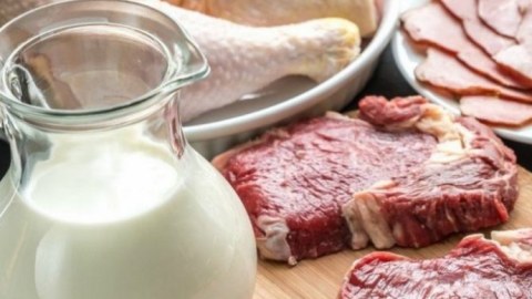 Azərbaycandan bu ölkəyə aparılan ət məhsulları məhv edilir