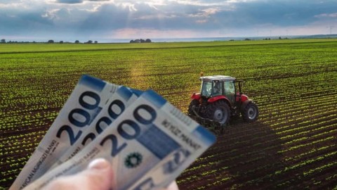 Aqrar subsidiyaların hüquqi statusu qanunla müəyyənləşdirilir