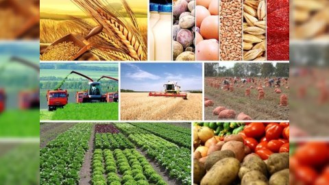 Hər iqtisadi rayon üzrə investisiya hədəfləri məlum oldu