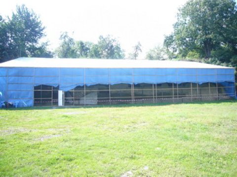 Quba Soyqırımı Məzarlığından ən son xəbərlər