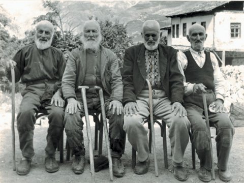 Dünyada 600 milyondan çox ahıl yaşayır