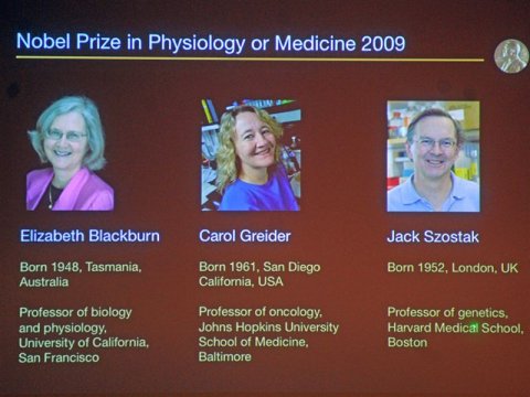 Tibb üzrə Nobel mükafatı laureatları məlum olub