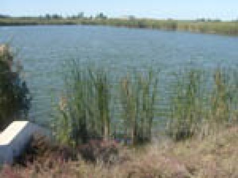 Ermənilər Araz çayını çirkləndirməkdədirlər