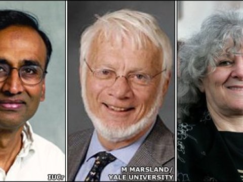 Nobel mükafatı alan kimyaçılar