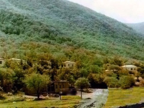 Ermənilər Zəngilanın təbii sərvətlərini məhv edirlər
