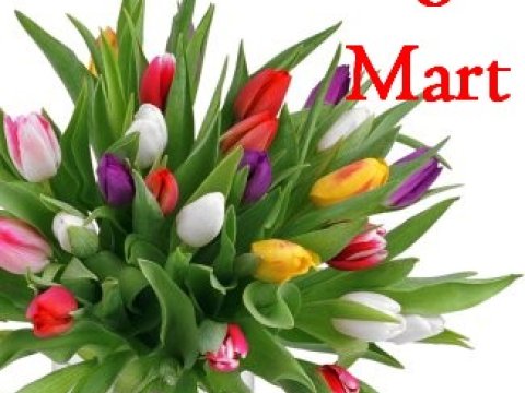 Azərbaycanda 4 milyon 592 min nəfər qadın yaşayır