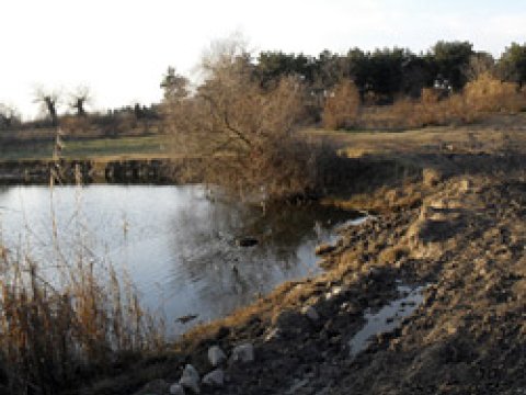 “Vaxtında Kürboyu Tuqay meşələrini bərpa etsəydilər, belə fəlakət olmazdı”