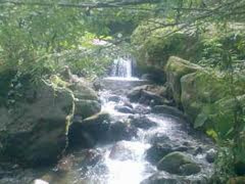 Dağlarımız çaysız qalır