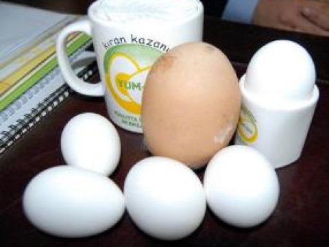 Toyuğun bu yumurtası hamını heyrətə salıb...