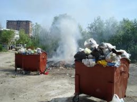 Bakının təhlükəli sanitar vəziyyəti: Tikinti “bumu” siçovulların artmasına səbəb olub