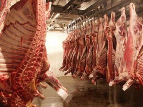 Deputat ətin bahalaşma səbəbini açıqladı