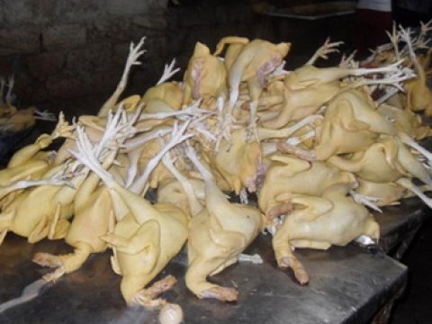 Hər satılan toyuğun kənd toyuğu olduğuna inanmayın – Rəsmi xəbərdarlıq