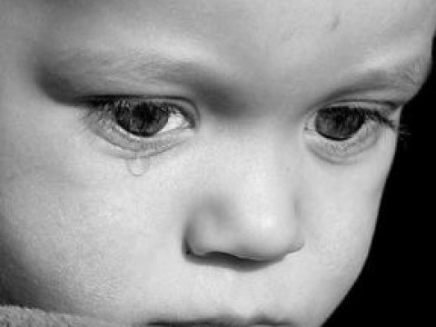 ABŞ, Avropa, Rusiya ailələri Azərbaycandan 8 uşaq aparıblar