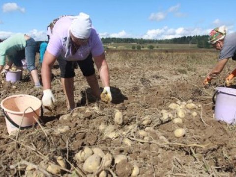 “Azərbaycanda kənd təsərrüfatı sahibsiz qalıb”